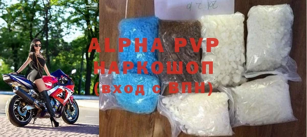 стаф Козельск