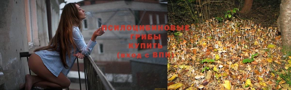 ешки Кодинск