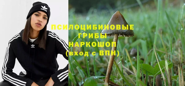 Альфа ПВП Костерёво
