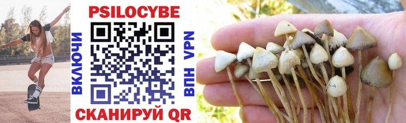 площадка формула  Чаплыгин  Псилоцибиновые грибы Psilocybe 